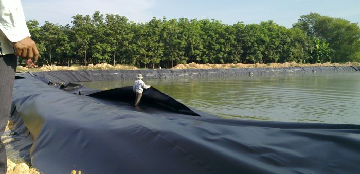 Bạt HDPE Chống Thấm Cho Hồ Tôm, Hồ Cá, Hồ Thủy Sản